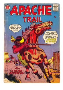 Apache Trail 001