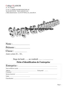 Rapport de stage entreprise 2009.pdf - Rapport de stage entreprise ...