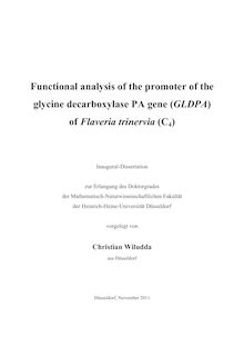 Funktionelle Promotoranalyse des Glycin-Decarboxylase-PA-Gens (GLDPA) von Flaveria trinervia (C4) [Elektronische Ressource] / Christian Wiludda. Gutachter: Rüdiger Simon. Betreuer: Peter Westhoff