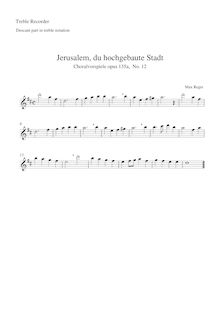 Partition complète (upper , partie en aigu enregistrement  notation), Dreissig kleine Choralvorspiele zu den gebräuchlichsten Chorälen par Max Reger