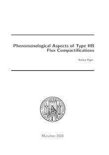 Phenomenological aspects of type IIB flux compactifications [Elektronische Ressource] / Enrico Pajer