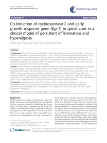Co-induction of cyclooxyenase-2 and early growth response gene (Egr-1) in spinal cord in a clinical model of persistent inflammation and hyperalgesia
