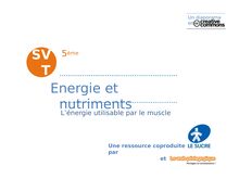 L'énergie et les nutriments (1)