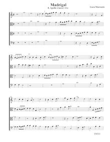 Partition , Apollo s ancor vive - partition complète (Tr T T B), madrigaux pour 4 voix