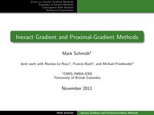 Exact vs Inexact Gradient Methods Examples of Inexact Methods