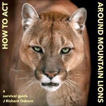 How to Act around Mountain Lions