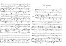 Partition complète et parties, Piano Trio en B minor, B minor