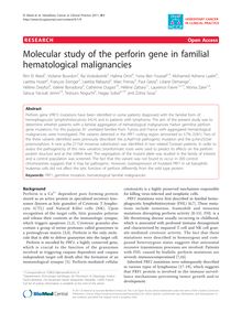 Molecular study of the perforin gene in familial hematological malignancies