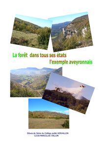 Les feux de forêt et l aménagement du territoire en Aveyron Collège de Marcillac Vallon