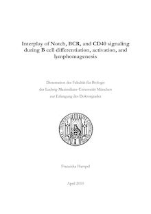 Interplay of Notch, BCR, and CD40 signaling during B cell differentiation, activation, and lymphomagenesis [Elektronische Ressource] / Franziska Hampel. Betreuer: Dirk Eick