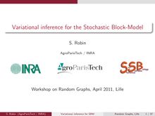 Variational inference for the Stochastic Block Model