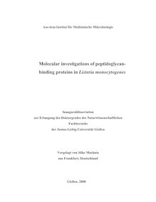 Molecular investigations of peptidoglycan binding proteins in Listeria monocytogenes [Elektronische Ressource] / vorgelegt von Silke Machata