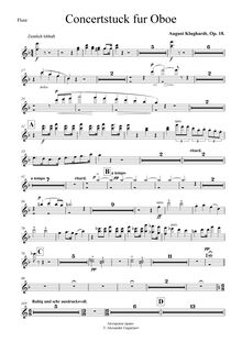 Partition flûte 1, 2, Konzertstück pour hautbois et orchestre, Op.18