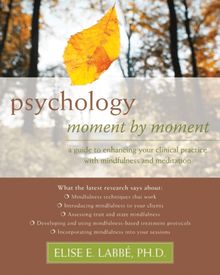 Psychology Moment by Moment