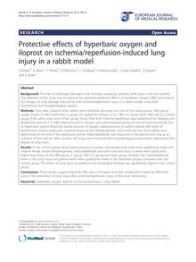 Protective effects of hyperbaric oxygen and iloprost on ischemia/reperfusion-induced lung injury in a rabbit model