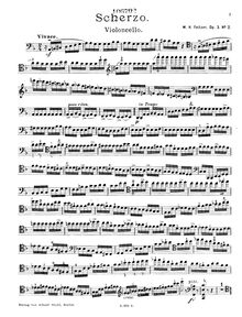 Partition de violoncelle, 2 Stücke, Op.3, 2 Pieces, Op.3 par Willem Feltzer