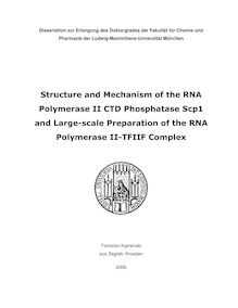 Structure and mechanism of the RNA polymerase II CTD phosphatase Scp1 and large-scale preparation of the RNA polymerase II-TFIIF complex [Elektronische Ressource] / Tomislav Kamenski