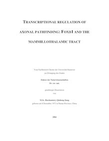 Transcriptional regulation of axonal pathfinding [Elektronische Ressource] : Foxb1 and the mammillothalamic tract / von Qiuhong Jiang