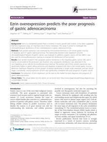 Ezrin overexpression predicts the poor prognosis of gastric adenocarcinoma