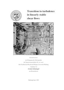 Transition to turbulence in linearly stable shear flows [Elektronische Ressource] / vorgelegt von Armin Schmiegel