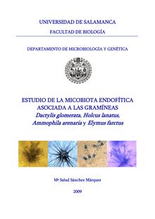 Estudio de la micobiota endofítica asociada a las gramíneas: Dactylis glomerata, Holcus lanatus, Ammophila arenaria y Elymus farctus