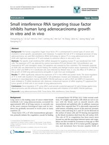 Small interference RNA targeting tissue factor inhibits human lung adenocarcinoma growth in vitro and in vivo