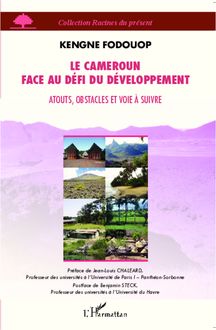 Le Cameroun face au défi du développement