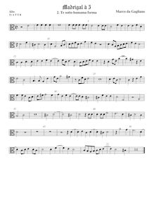 Partition ténor viole de gambe 1, alto clef, Madrigali a cinque voci, Libro 1