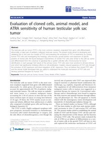 Evaluation of cloned cells, animal model, and ATRA sensitivity of human testicular yolk sac tumor