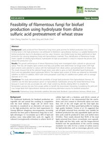 Feasibility of filamentous fungi for biofuel production using hydrolysate from dilute sulfuric acid pretreatment of wheat straw