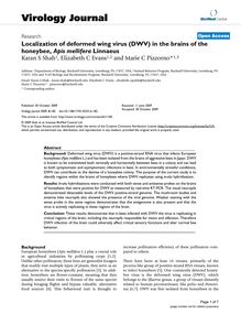 Localization of deformed wing virus (DWV) in the brains of the honeybee, Apis melliferaLinnaeus