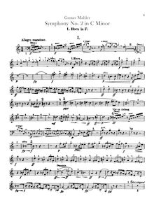 Partition cor 1, 2, 3, 4, 5, 6 (F), Offstage cornes 7, 8, 9, 10 (F),Offstage orchestre score, Symphony No.2