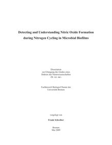 Detecting and understanding nitric oxide formation during nitrogen cycling in microbial biofilms [Elektronische Ressource] / vorgelegt von Frank Schreiber