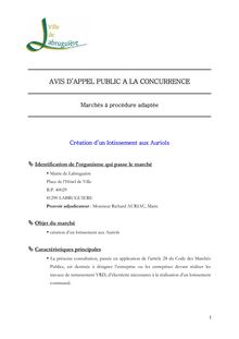 AVIS D&#39;APPEL PUBLIC A CONCURRENCE 12 06 09