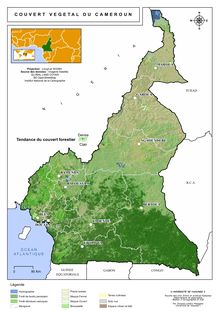 Carte du couvert végétal du Cameroun