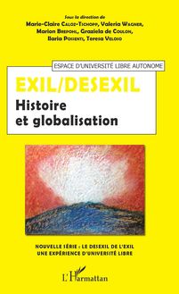 Exil/Desexil