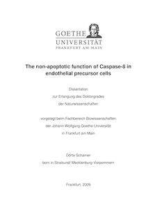 The non-apoptotic function of Caspase-8 in enothelial precursor cells [Elektronische Ressource] / Dörte Scharner