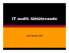 IT audit 2009