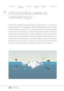L'écosystème marin de L'antarctique :