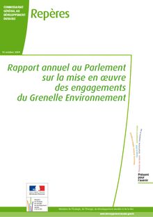 Rapport annuel au Parlement sur la mise en uvre des engagements ...