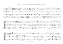 Partition , Steh  ich bei meinem Gott en unverrückten Gnaden (after BWV 503), chansons et airs