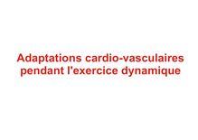 Adaptations cardio vasculaires