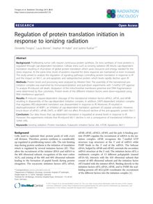 Regulation of protein translation initiation in response to ionizing radiation