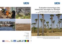 Evaluation économique des ressources sauvages au Sénégal