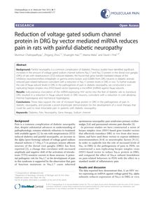 Reduction of voltage gated sodium channel protein in DRG by vector mediated miRNA reduces pain in rats with painful diabetic neuropathy