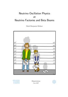 Neutrino oscillation physics at neutrino factories and beta beams [Elektronische Ressource] / Mark Benjamin Rolinec