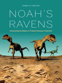 Noah s Ravens