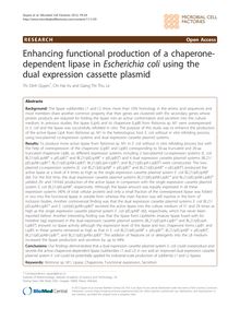 Enhancing functional production of a chaperone-dependent lipase in Escherichia coliusing the dual expression cassette plasmid