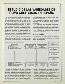 Estudio de las variedades de olivo cultivadas en España