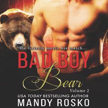 Bad Boy Bear, Vol 2